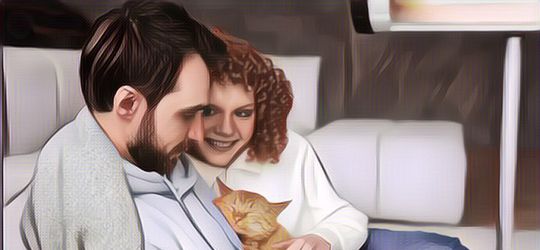 Gak Disangka, Seorang Wanita Gugat Suaminya Gara-Gara Lebih Sayang ke Kucingnya