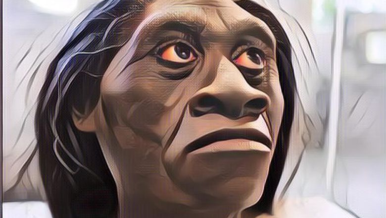 Penemuan Homo Floresiensis, Hobbit yang Penuh Kontroversi