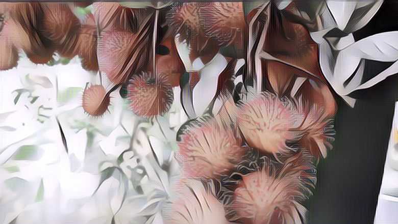 Viral Buah Rambutan Dijadikan Bahan Dekorasi Pernikahan, Begini Hasilnya