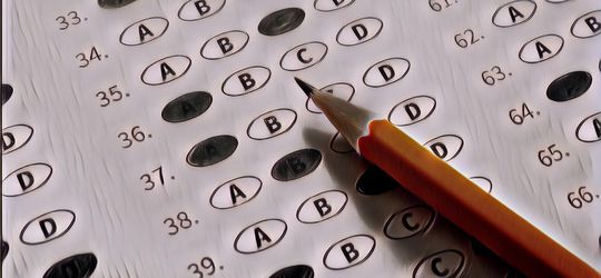 Tes Kepribadian Manusia Sederhana: Jumlah Kuda yang Kamu Lihat Bisa Menjelaskan Dirimu, Lho