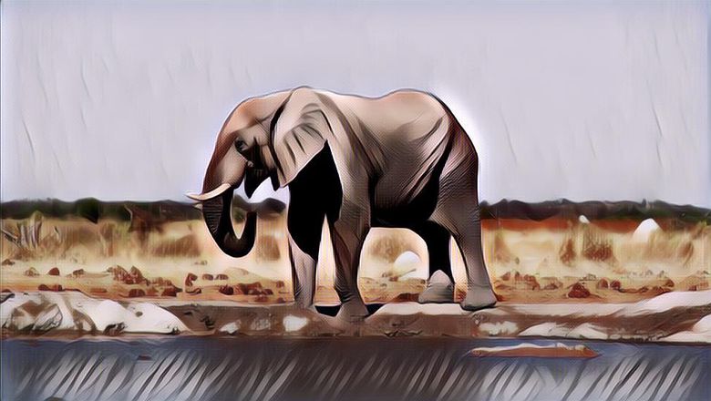 Tragis! Gajah Injak Nenek 70 Tahun Sampai Tewas Saat Ambil Air, Sempat Ngamuk Di Pemakaman Dan Jenazah Dilempar