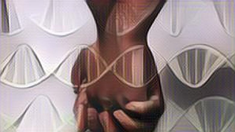 Fakta atau Mitos: Genetik Jadi Faktor Penentu Seseorang Menjadi Homoseksual?