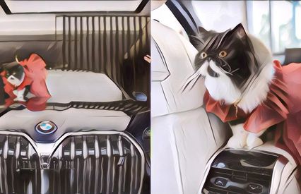 Bikin Heboh, Pengusaha Hijab Ini Beri Hadiah Mobil BMW Untuk Kucingnya!