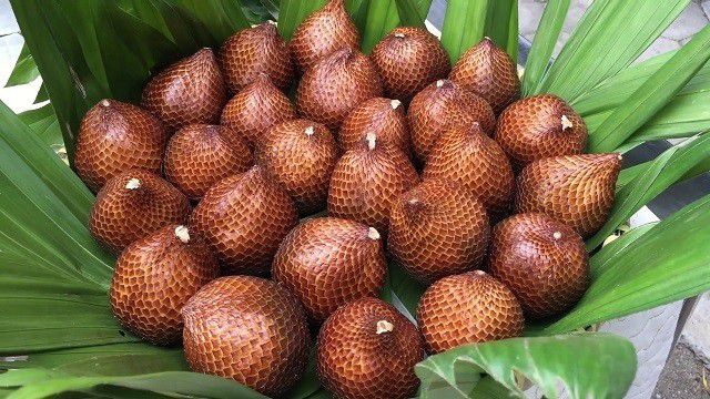 3. Salak pondoh