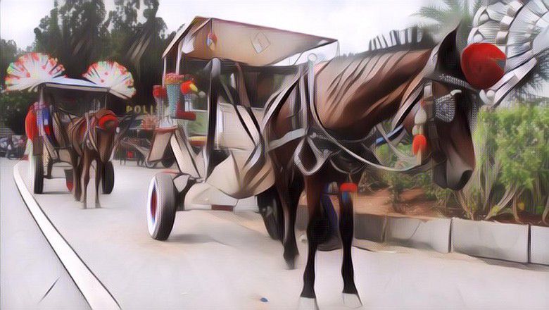 Beda dengan Hewan Lain, Kenapa Kuda Harus Pakai Sepatu?