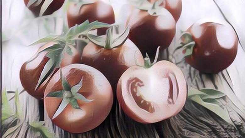 Gak Nyangka! Ternyat Tomat Punya Banyak Manfaat untuk Kesehatan, Apa Saja?