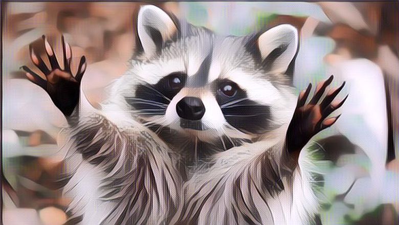 3 Hewan yang Suka Begadang, Tertarik Memelihara?