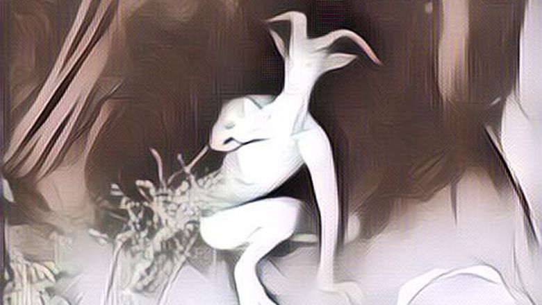 Cerita Misteri Nyata Yang tertangkap Kamera , Serem Banget!