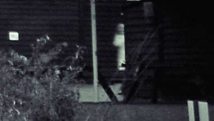 1. Foto penampakan hantu di peternakan Inggris