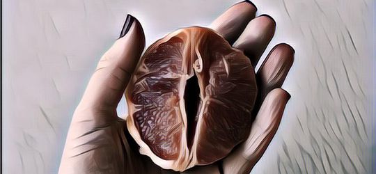 Kebanyakan Seks Bikin Vagina Longgar, Mitos atau Fakta?