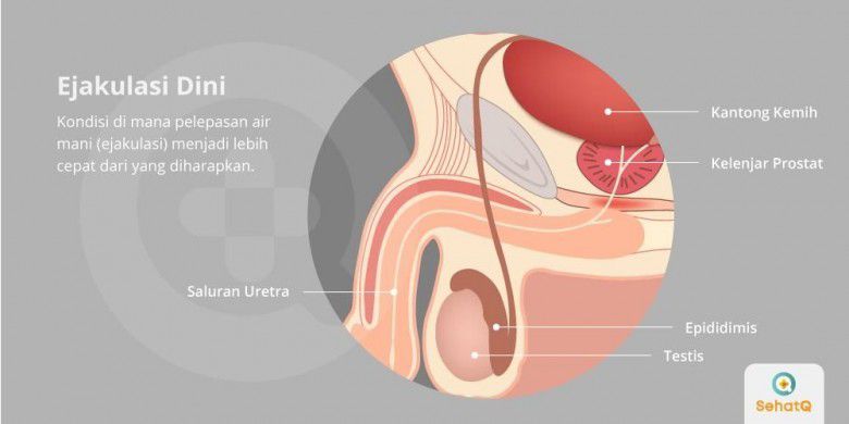 # Berapa Lama Penetrasi Hingga Masuk Kategori Ejakulasi?