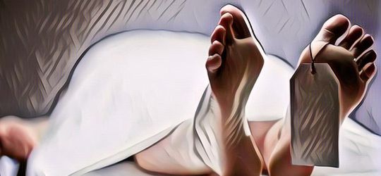 Kejam! Siswi SMA Riau Jadi Korban Pemerkosaan Saat Sekarat, Dikubur Mantan Pacar di Kebun Sawit