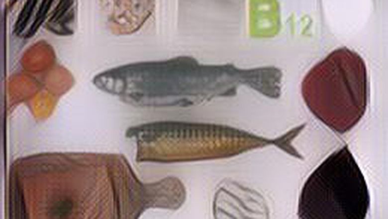 Penting Banget! Berikut 7 Daftar Makanan yang Punya Kandungan Vitamin B12, Demi Otak yang Sehat