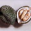 Gak Nyangka, Ternyata Kandungan Nutrisi Durian Memang Sedahsyat Baunya