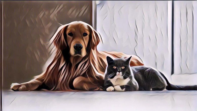 Fakta Terbaru tentang Anjing dan Kucing