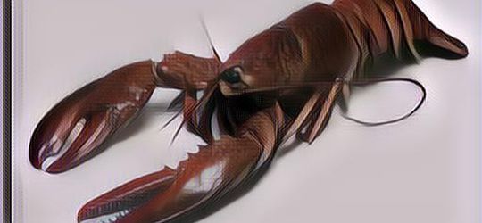 Ramai Kasus Edhy Prabowo Ekspor Benur. Apa Sih Benur Itu?