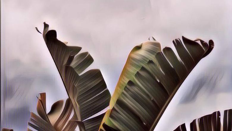 Harganya Rp120 Ribu, Tas Unik Ini Benar-Benar Mirip Daun Pisang