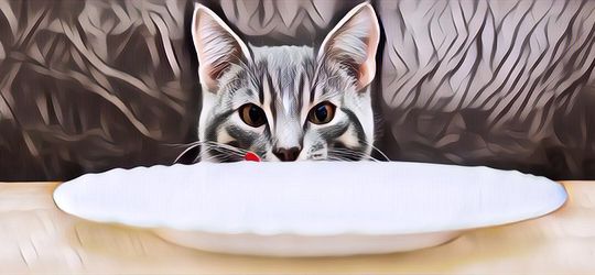 Dasar Binatang! Nih 5 Tindak Kriminal yang Dilakukan Hewan...