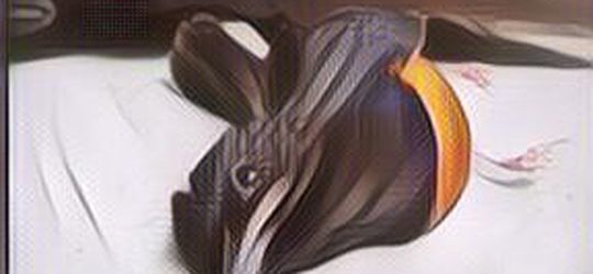 Ngeri! Puluhan Burung Mati Dehidrasi di India Setiap Hari, Apa yang Terjadi?