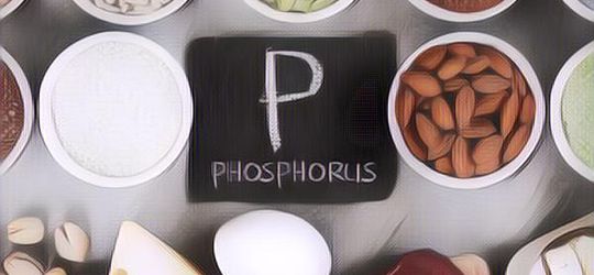 Makanan Apa Saja yang Tinggi Fosfor dan Manfaatnya untuk Kesehatan