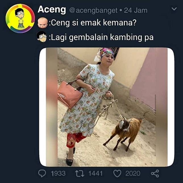 8. Gembalain kambing with style. Mantap jiwa