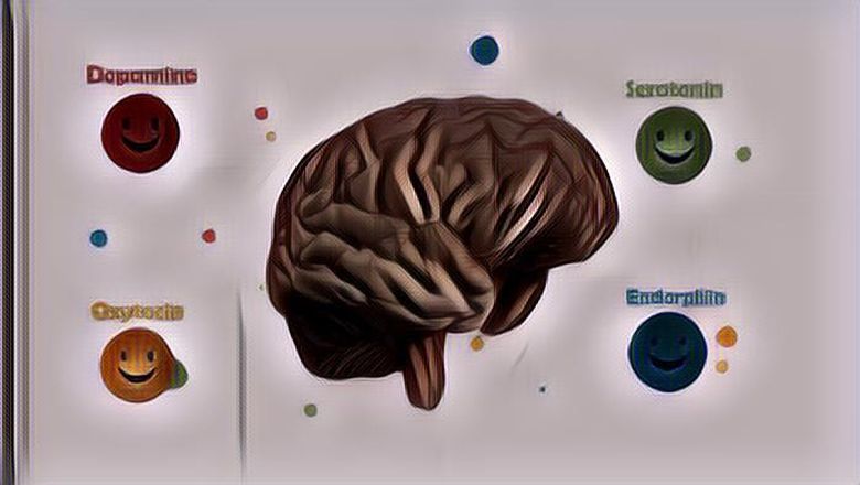 4 Macam Hormon Kebahagiaan dan Tips Mendapatkannya, Dijamin Happy Teruusss!