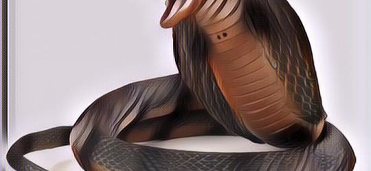 Cara Mengusir Ular yang Ampuh: Buat yang Rumahnya Sering Kemasukan Ular, Wajib Baca!