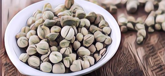 Bisa Jadi Obat Infeksi, Ini Dia Manfaat Lain Dari Kapulaga Buat Kesehatan