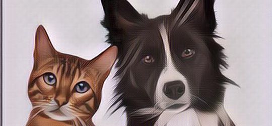 Hati-hati! 5 Hewan Jelmaan Jin Ini Ternyata Ada di Sekitar Rumah