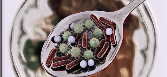 Noro Virus yang Bisa Menular Melalui Makanan Deliveri, Apakah Bisa Sampai Indonesia?