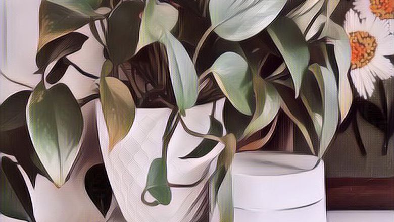 Janji Google untuk Memaksimalkan Material Daur Ulang Buat Produk Mereka