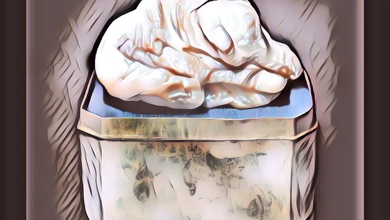 Harga Fantastis Untuk Mutiara yang Tak Berbentuk Bulat