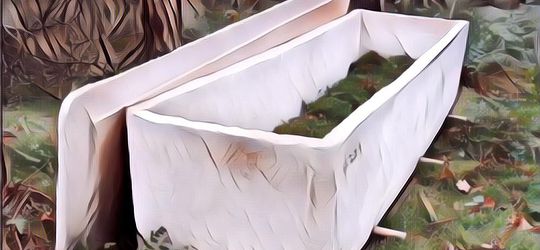 Peti Mati Ramah Lingkungan, Terbuat Dari Jamur dan Percepat Proses Penguraian