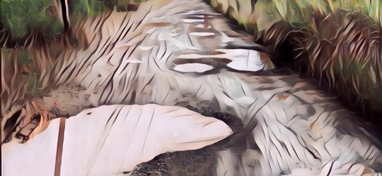 Muak Pemerintah Tak Kunjung Bergerak, Pria Ini Jadi Pahlawan dan Bangun Sendiri Jalanan di Desanya