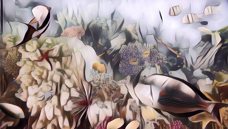 3 Wisata Bawah Laut di Indonesia yang Cocok untuk Mengisi Liburan Akhir Tahun