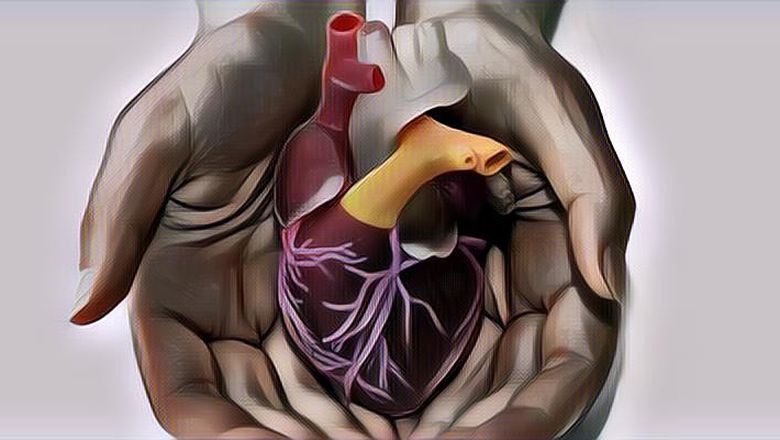 Mencetak Jantung Manusia dengan Teknologi 3D Printing