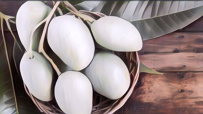 5 Cara Menyimpan Buah Mangga Agar Tahan Lama dan Tak Mudah Busuk, Mudah Banget Loh!