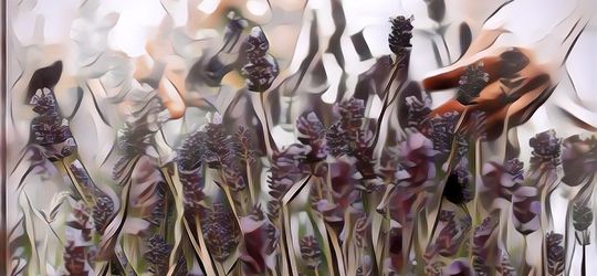 3 Tanaman yang Bisa Usir Lalat, Wajib Ada di Rumah Nih!