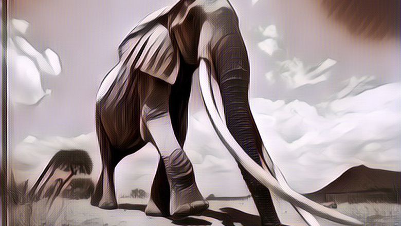 Sebelum "Kenya's Elephant Queen" Meninggal, Ini 5 Potret Paling  Mengharukan