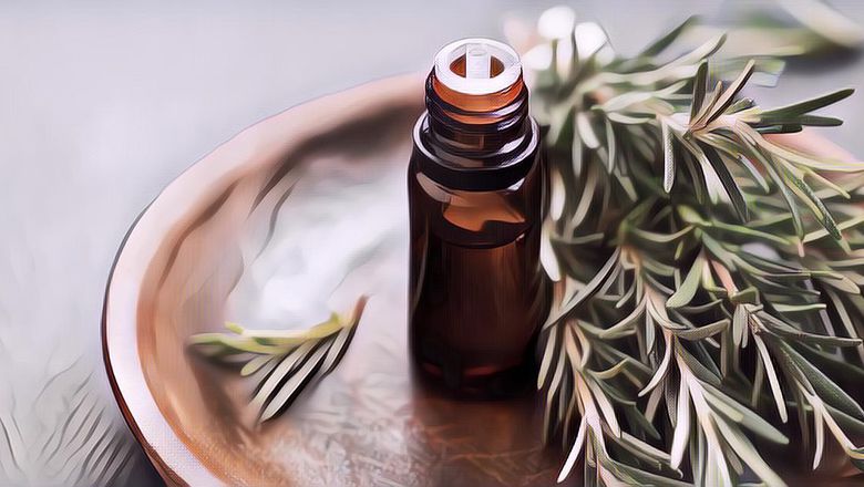 TOP Banget! Berikut 8 Manfaat Tea Tree Oil untuk Kulit dan Kecantikan yang Wajib Kamu Tahu