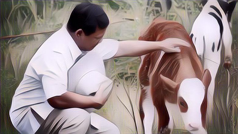 5 Binatang Ini Ternyata Bisa Pahami Manusia dengan Baik, Jomblo Wajib Pelihara!