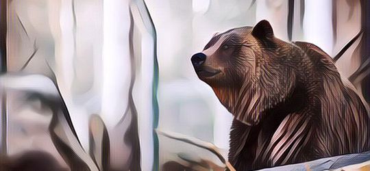 Aneh dan Menyerakan, Ada Beruang Ganggu Resepsi Pernikahan di Meksiko