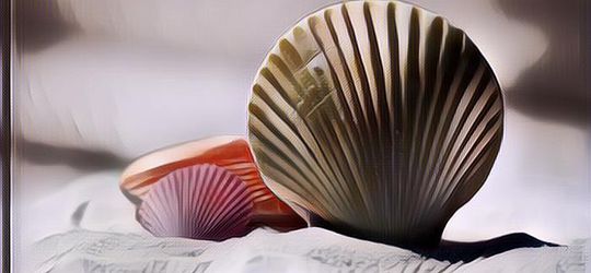 Begini Cara Ubah Limbah Kulit Kerang Jadi Bisnis yang Menjanjikan