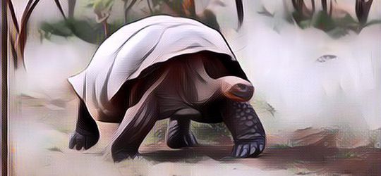 Ajaib! 5 Hewan Ini Bisa Berumur Panjang Banget, Sampai Lebih dari 100 Tahun