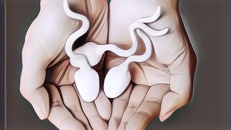 Apakah Pria Juga Punya Masa Subur Seperti Wanita?