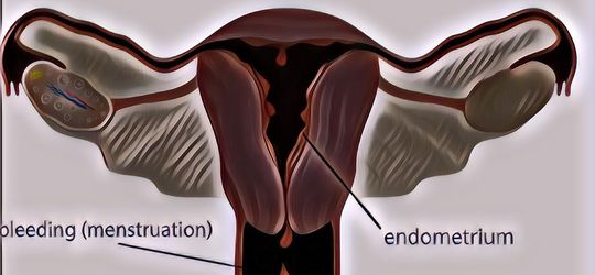 Kisah Seorang Pria yang Mengalami Menstruasi Padahal Tak Memiliki Vagina