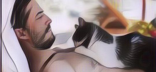 Kenapa Kucing Suka Banget Tidur di Tubuh Kita? Ini 5 Alasannya!