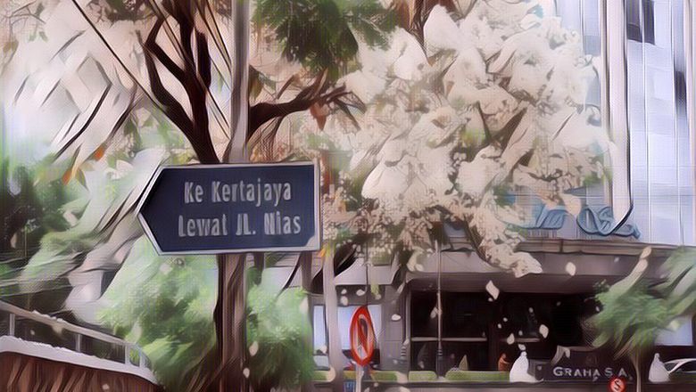 Menengok Sejarah dan Fakta tentang Pohon Tabebuya yang Dikira Sakura di Surabaya