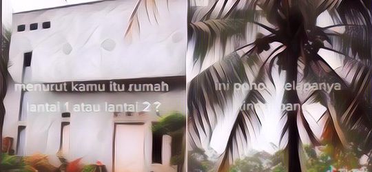Heboh Penampakan Rumah yang Atapnya Setinggi Pohon Kelapa, Netizen Bingung Ada 1 atau 2 Lantai