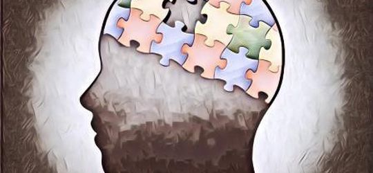 Makanan Berikut Ini Penting Biar Kita Gak Kena Demensia dan Alzeimer Pas Tua Gengs